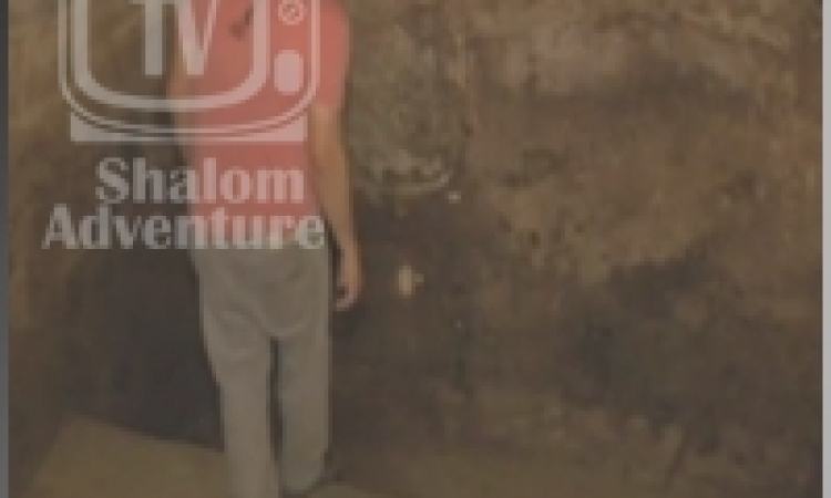 Ancient Ritual Bath Discovered in Family Home in Jerusalem