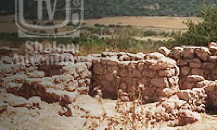 Archeologists Claim to Find King David's City