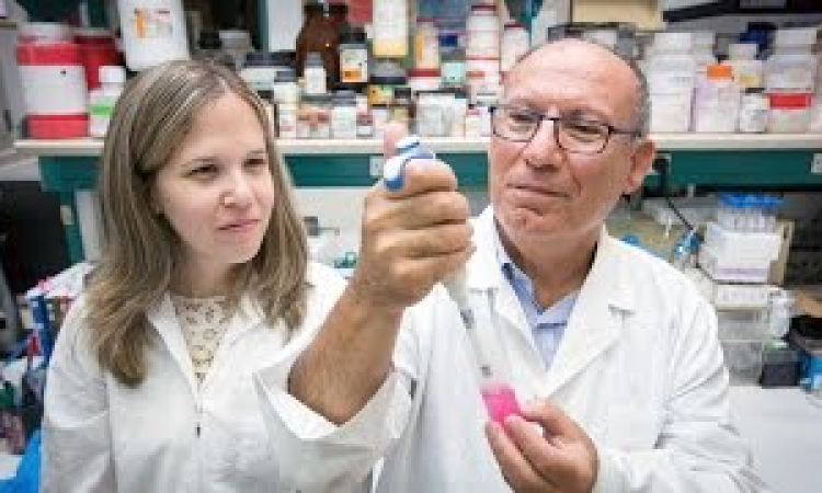 Hebrew University and Cleveland Clinic: A Pioneering Partnership in Nanomedicine